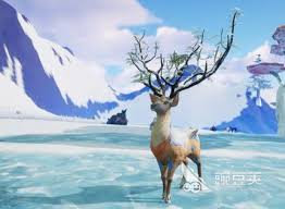 创造吧我们的星球星际雪原中有哪些生物