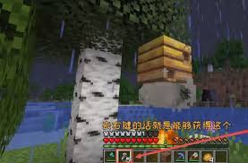 我的世界如何获取蜂蜜