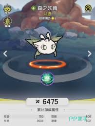 杖剑传说选哪个宠物好