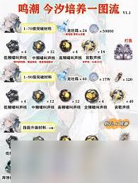 鸣潮布兰特突破需要什么材料