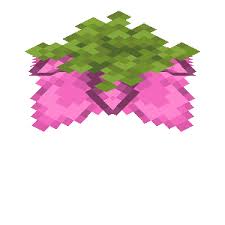 我的世界孢子花有什么作用