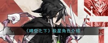晴空之下极星怎么介绍极星角色