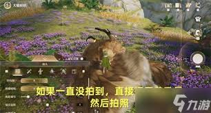 无限暖暖危险摄影羽翼巨兽任务如何完成