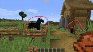 我的世界如何驯服马当坐骑