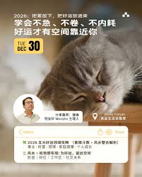 开局一个人宠物特技如何选