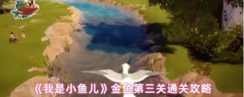 我是小鱼儿金鱼篇第三关怎么通关