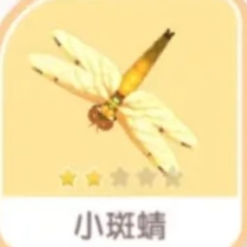 心动小镇手游小斑晴在什么位置