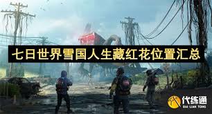 七日世界雪国人生藏红花在哪