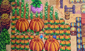 星露谷物语如何种出巨大作物