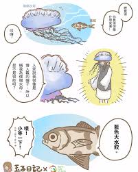 水母鱼为何喜欢追随水母