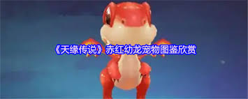 天缘传说赤红幼龙怎么样