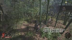 明末渊虚之羽海寇套装怎么获得