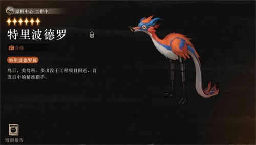 重返未来1999魔精练习手册怎么玩