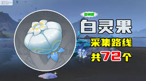 原神白灵果在哪里采集