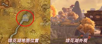 魔兽世界金莲教声望日常任务如何完成