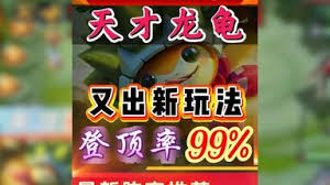 万血龙龟怎么玩