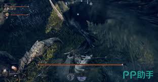 艾尔登法环黑夜君临开荒流程是什么