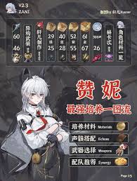 鸣潮如何全面培养赞妮