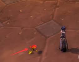 魔兽世界wlk沙漠玫瑰成就怎么完成