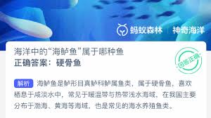 七彩吊防备或攻击时主要用哪个部位