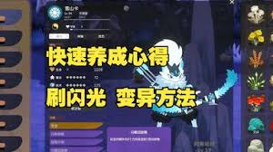 妖之乡坐骑鞍具如何获取