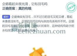 企鹅看起来很光滑