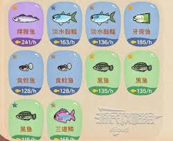 猫猫钓游记商店有什么说明