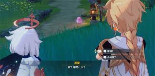 原神梦见月瑞希传说任务怎么做