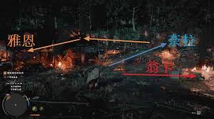红色沙漠探索有哪些收集技巧