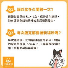 宠物星球新手有哪些问题需要解答