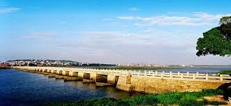 我国古代桥梁工程师曾巧妙利用哪种海洋动物固定石桥