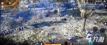 黑色沙漠画质模糊如何调整