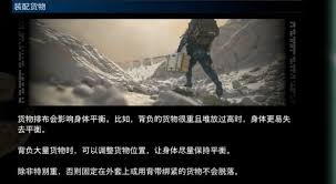 死亡搁浅2委托货物是什么