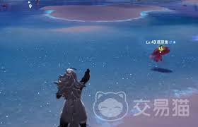 伊莫潮花岸宠物怎么介绍