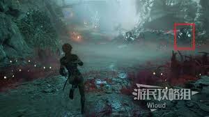光与影33号远征队飞流域默偶在哪