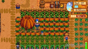 星露谷物语如何种出巨大作物