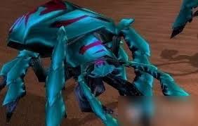 魔兽世界甲虫胸针饰品怎么介绍