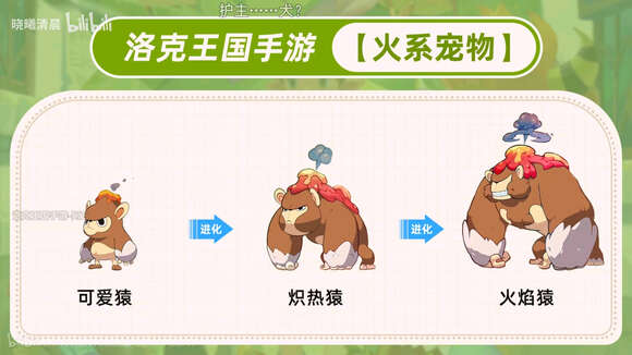 洛克王国世界前期开荒选什么宠物