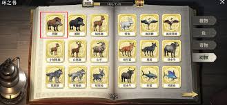 荒原曙光如何骑野猪