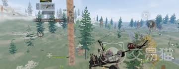 失控进化中飞机如何获取