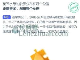 花笠水母的触手分布位置在哪