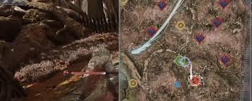 艾尔登法环黑夜君临存档在哪