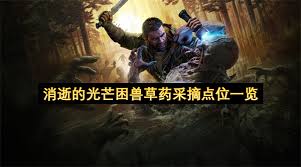 消逝的光线困兽草药在哪采摘