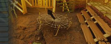 禁闭求生2如何处理移动蜗牛壳