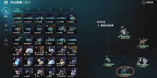 荒野起源如何组队