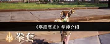 零度曙光拳师怎么样