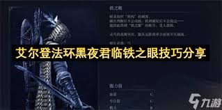艾尔登法环黑夜君临铁之眼有哪些优缺点